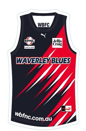  Premierships reunions 1965 and 2000