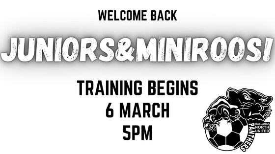 Juniors and Miniroos Training