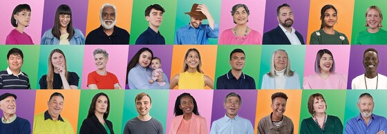 Persuasive Conversations with the Greens