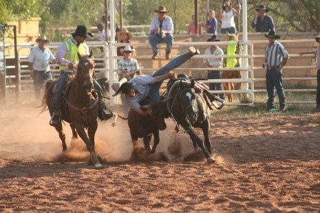 THE DERBY RODEO