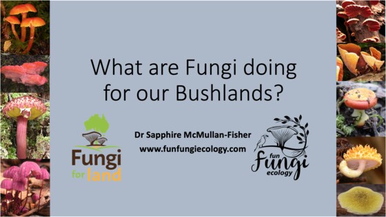 Dr Sapphire McMullan-Fisher: What are fungi doing in our bushlands?