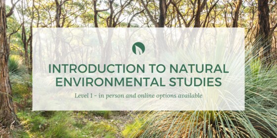 Introduction to Natural Environmental Studies - level 1