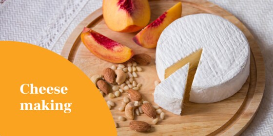 Cheesemaking at home