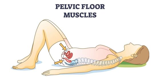 Physiotherapy Antenatal Pelvic Health