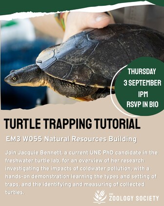 Turtle Trapping Tutorial