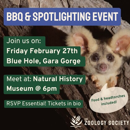 Blue Hole BBQ and Spotlighting