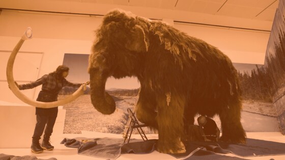 De-Extinction Discussion: UNE Zoology Society X UNE Geoscience Society