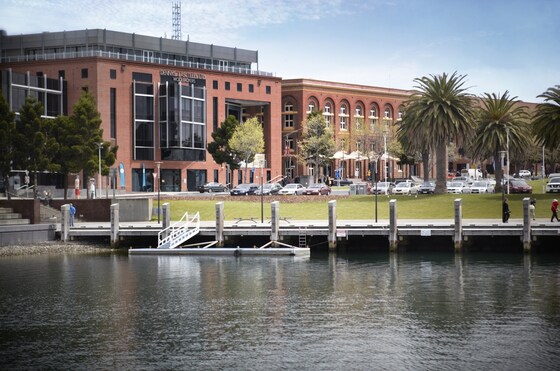 Deakin CPD Day - Friday 25 October 2024