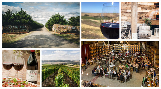 Geelong Young Lawyers Wine Tour (RSYL Month)