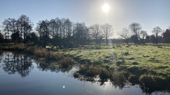 Waveney Walk with John Arnett