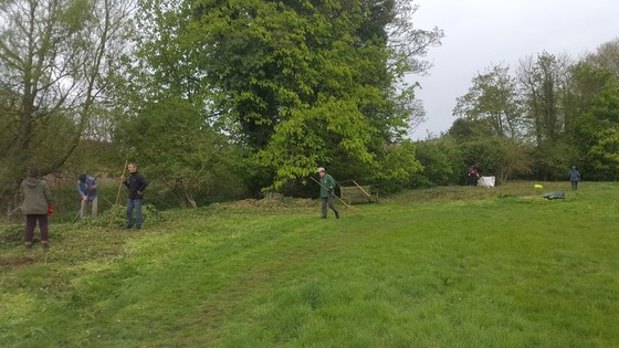 Bungay Group Working Party Falcon Meadow