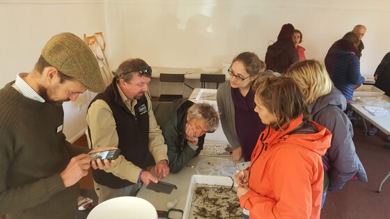 Riverfly Monitoring Training Day