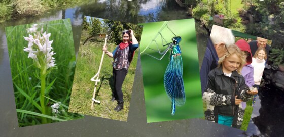 Love Your River Day - Family Event - River & Meadow Celebration