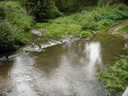 Our Rivers and Pesticides