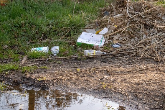 Great British Spring Clean