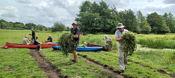 Invasive Species on the River Waveney