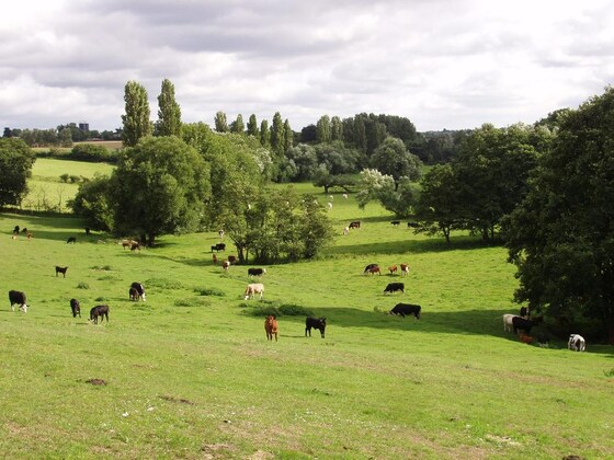 Waveney Walk with Tim Holt-Wilson