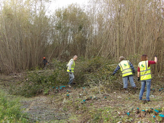 Open Day at Frenze Beck