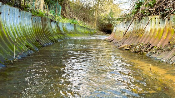 Tin River Litter Pick