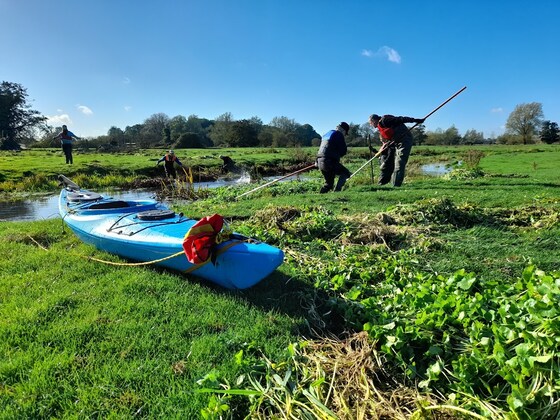 Floating Pennywort Work Party - Fri 11th Nov