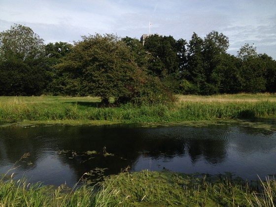 River Waveney and its Wildlife