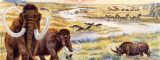 Talk: Lost Beasts of Norfolk and Suffolk by Tim Holt-Wilson