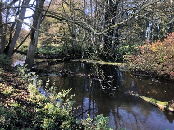 River Walk & Talk with our Catchment Officer and Trust Manager