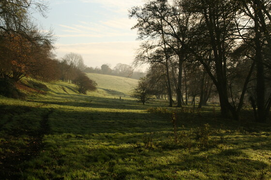 Talk: Bones & Stones - Introducing Earth Heritage in the Waveney Valley - part 1: Lopham to Bungay