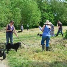 Working Party at Falcon Meadow