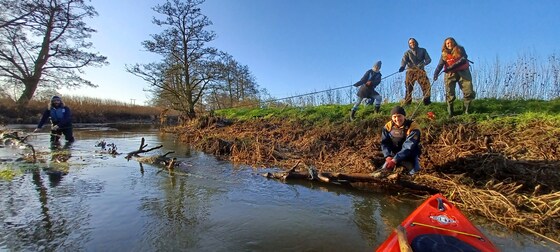 Wood & the Waveney : Why do we want trees in our river?