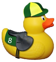 Bungay Duck Race