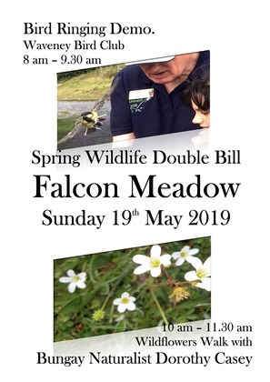 Spring Wildlife Double Bill