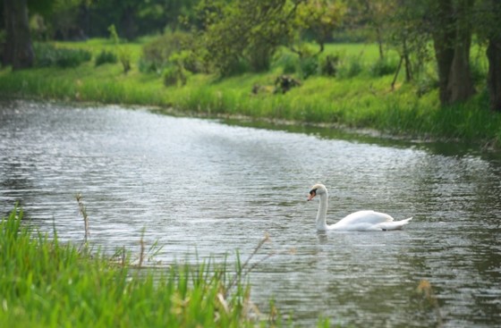Harleston Area Group Meeting