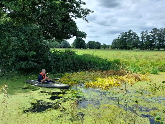 Floating Pennywort Work Party