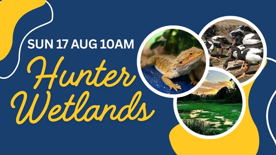 Hunter Wetlands