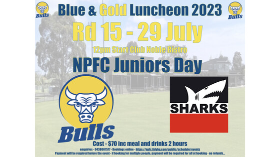 Rd 15 Noble Park v Park Orchards - NPFC Junior Day