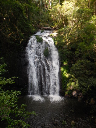 Border Ranges National Park