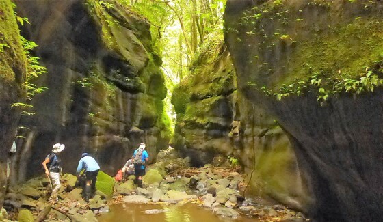Iron Pot Creek Aust Day Camp 