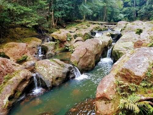Rummery Park Camping Friday May10