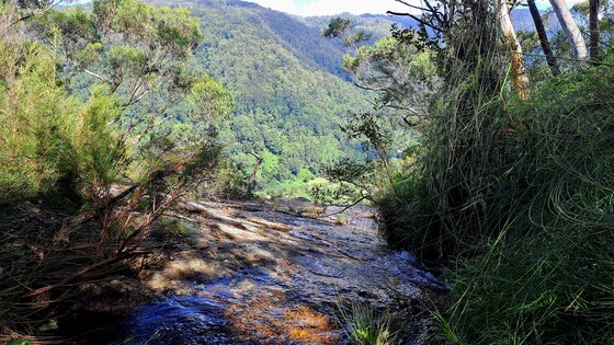 New Cliff-edge Hike on Koonyum  29 Mar