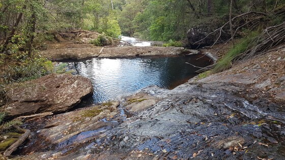 Rocky Creek Scramble 9th Nov