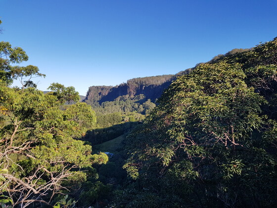 Lyrebird Falls and Lost Valley Sun Mar 30