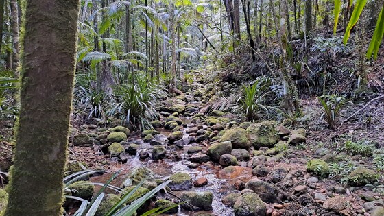 Whiskey Creek, Main Arm Sat 7 Feb