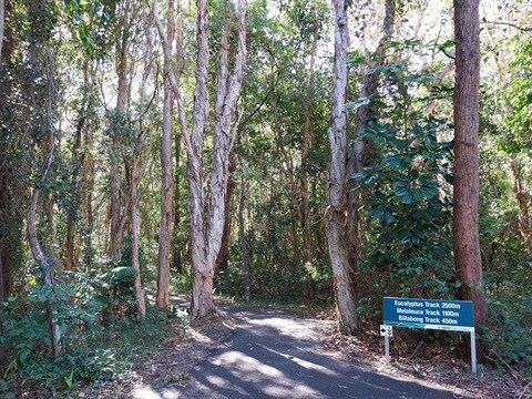 Easy walk in Pottsville Environment Park July 20