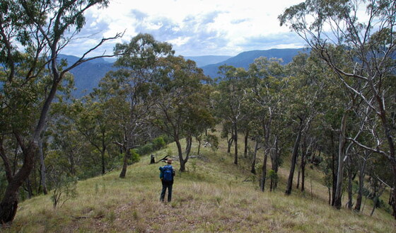 Green Gully -fully booked