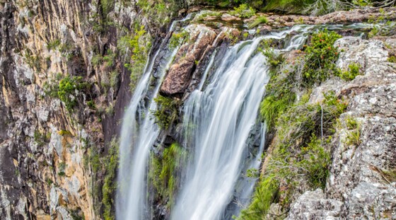 Late notice: Minyon Falls Rainforest Loop, Sunday 13 Oct