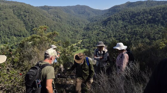 Koonyum Falls & Lookouts Sun 10 May