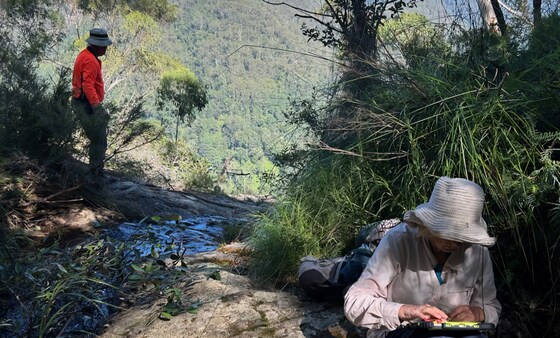 Koonyum Falls & Lookouts Sun 19 Apr