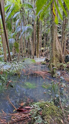 Blue Lagoon- Sun Feb 15