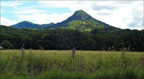Mullum byways meander Sun May 11